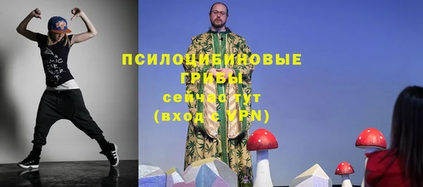 MESCALINE Осинники