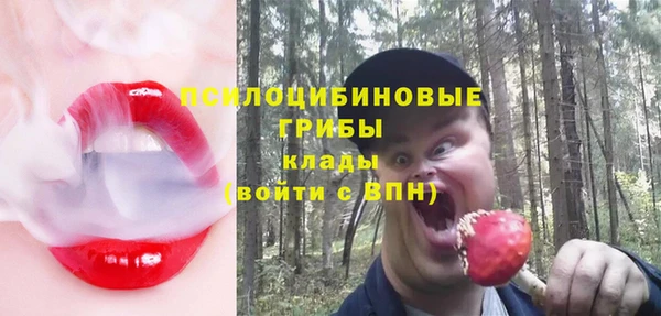 сатива Алексеевка